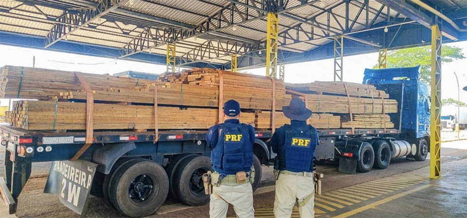 PRF apreende carga de madeira com irregularidades na BR-174