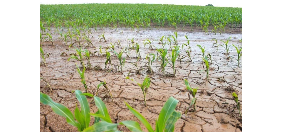 Erosão e Sustentabilidade no Cerrado: Um Desafio para a Agricultura Brasileira