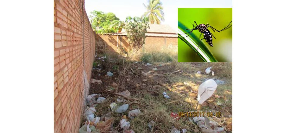Itanhangá: Secretaria De Saúde reforça combate ao mosquito Aedes aegypti para evitar dengue, zika e chikungunya
