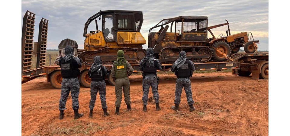 Fiscalização apreende 250 cabeças de gados e mais de 10 tratores