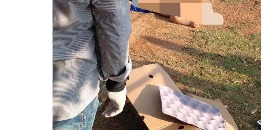 Mulher mata pai e filho da família da suposta amante de seu marido