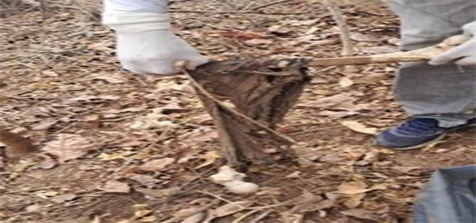 PC encontra ossada humana na zona rural