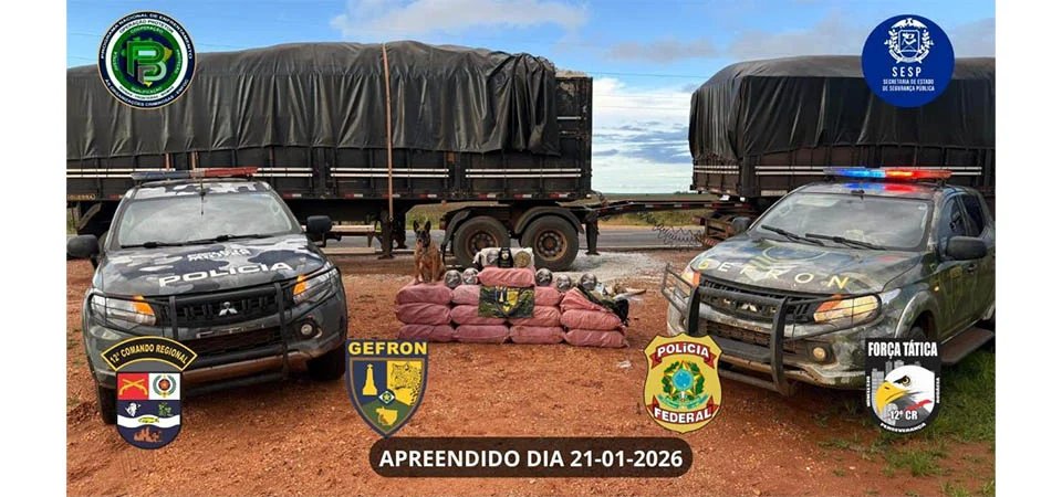 Operação apreende 400 tabletes de maconha avaliados em mais de R$ 1,8 milhão