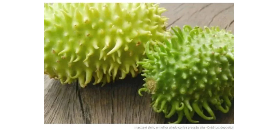 Descoberto o efeito preocupante do Maxixe no corpo humano