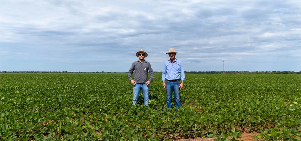MT: produtores relatam replantio e prejuízos causados pela falta de chuvas