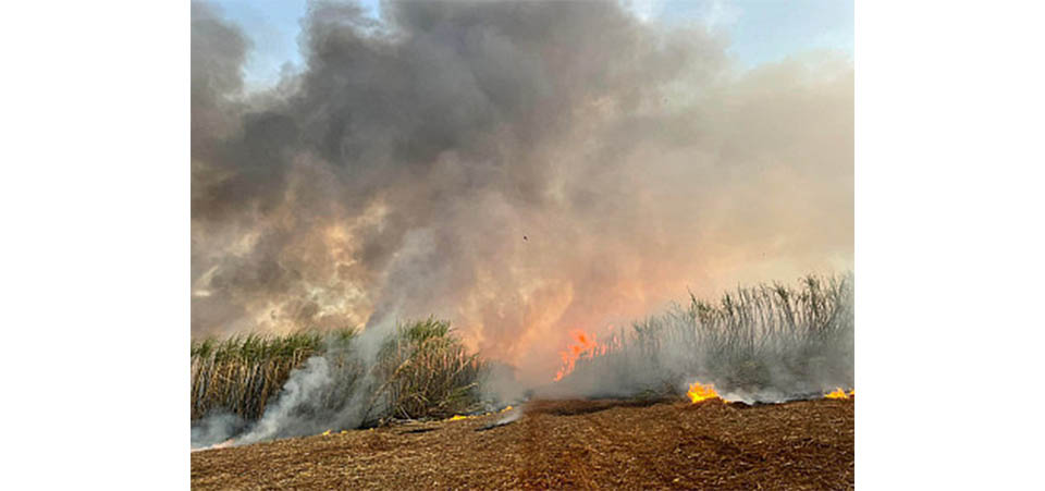 MT registra maior número de focos de incêndio do país pelo 2° mês seguido