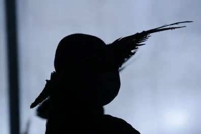 Indígena de 8 anos denuncia ter sido estuprada em aldeia