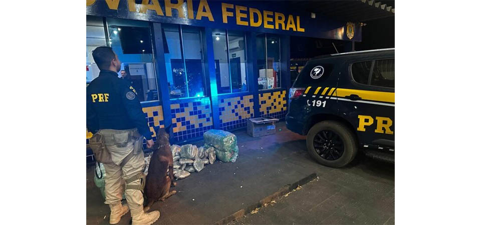 Cão da PRF localiza 110 quilos de drogas em bagagem de passageiro