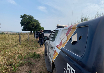 Dois são presos após matarem boi e esconder carne embaixo de cama