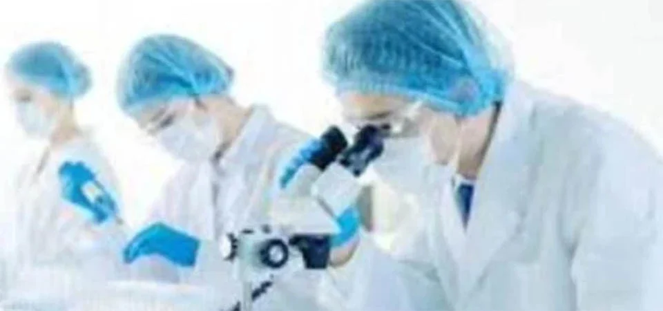 Cientistas criam rim “universal” compatível com todos os tipos sanguíneos