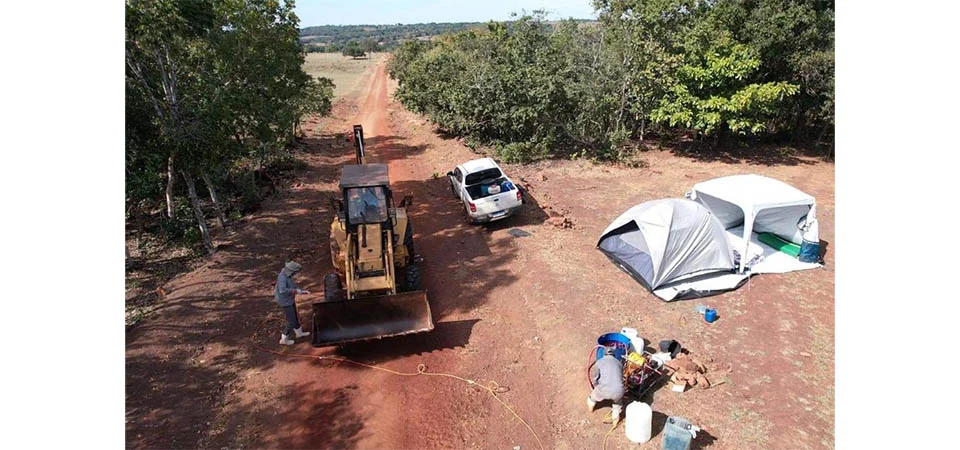 Governo de MT declara emergência zoossanitária após confirmação de caso de gripe aviária