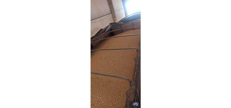 DERF de Sorriso recupera carga de soja furtada de fazenda