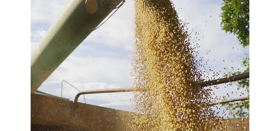 Uso de biológicos na agricultura impulsiona safra recorde de grãos no Brasil