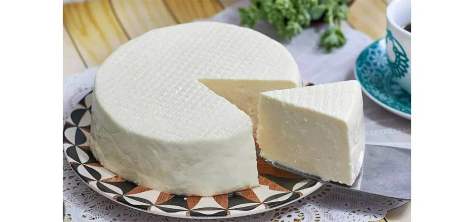 Concurso em MT vai eleger melhor queijo; saiba como se inscrever