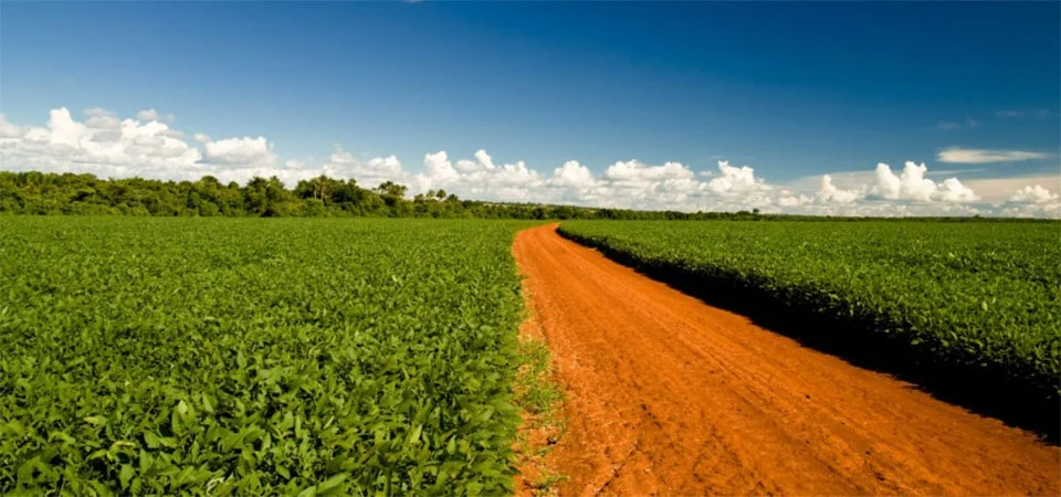 Aprosoja denuncia formação de cartel internacional para prejudicar produtores de soja de Mato Grosso