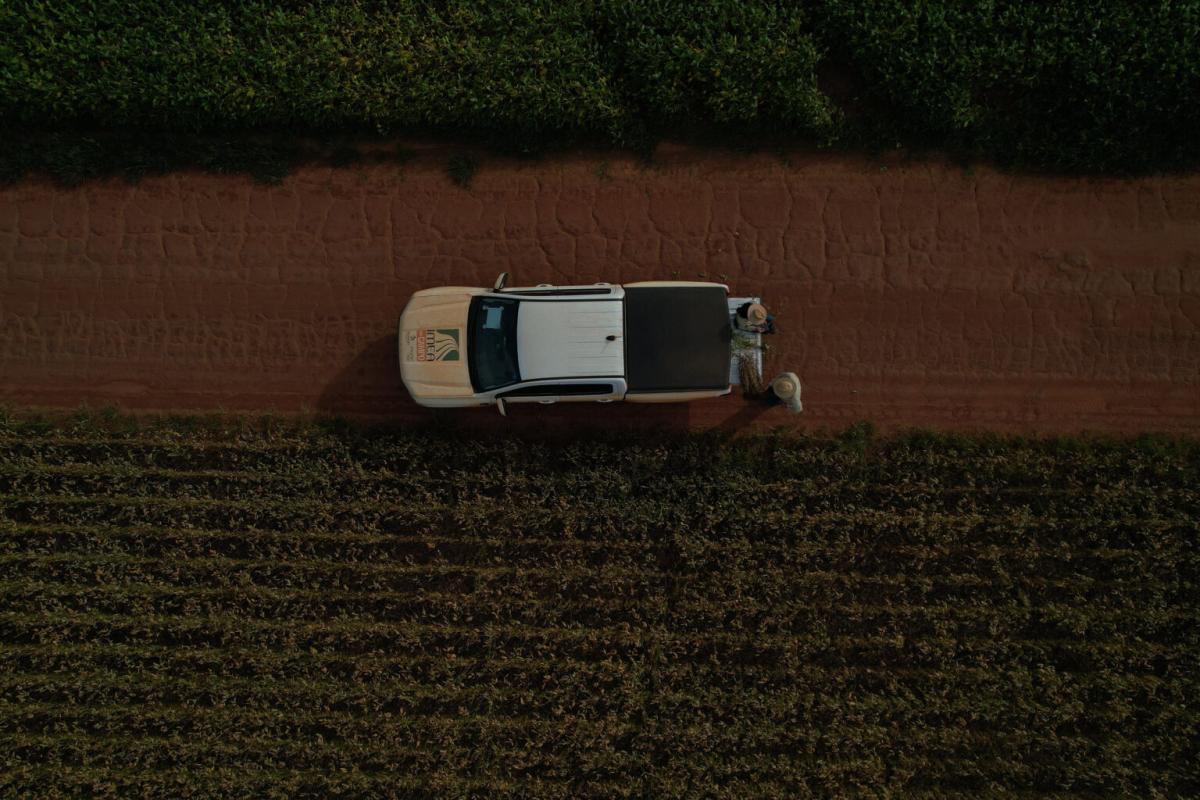 Há 28 anos, Imea transforma dados em inteligência para o agronegócio de Mato Grosso