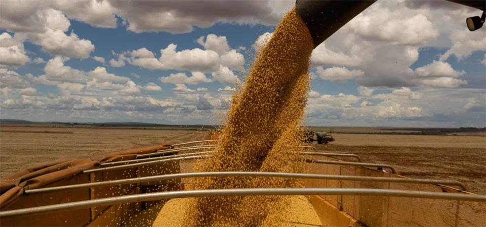 Aprosoja MT apresenta sugestões ao Governo de MT para regulamentação da Lei da Moratória da Soja