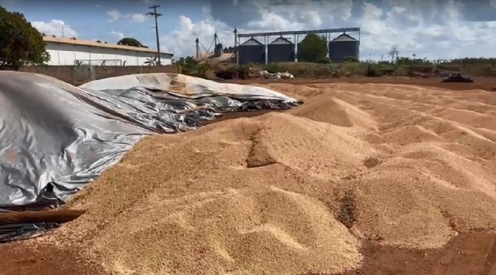 Carga de soja roubada avaliada em 180 mil é recuperada pela Polícia Civil