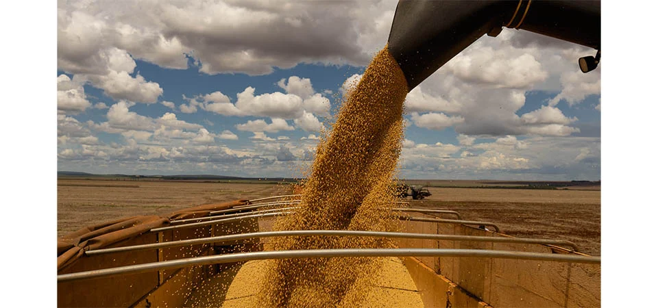 Se MT fosse um país seria o terceiro maior na produção de soja do mundo