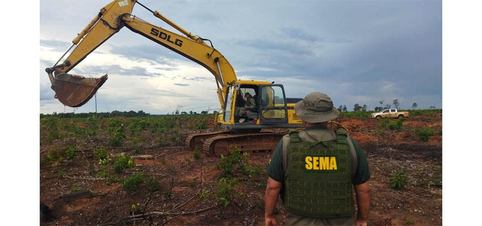 Sema faz 99 operações e aplica mais de R$ 300 milhões em multas no primeiro trimestre